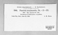 Image Associated With the Occurence